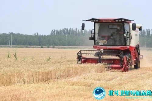 直击河北小麦机收季，北斗刈禾田，乐享丰收年！